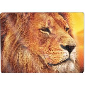 MightySkins Glossy Glitter Skin Compatible with Microsoft Surface Laptop 5 13.5" Full Wrap Kit - Lion Pride | Protective, Durable High-Gloss Glitter Finish | Easy to Apply | Made in The USA