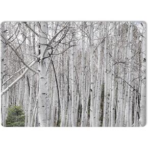 MightySkins Glossy Glitter Skin Compatible with Microsoft Surface Laptop 5 13.5" Full Wrap Kit - Birch Forest | Protective, Durable High-Gloss Glitter Finish | Easy to Apply | Made in The USA