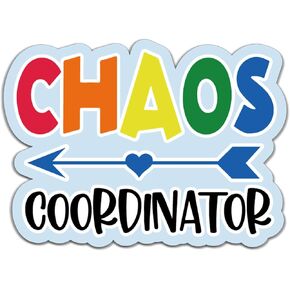 YAZMEEN 20 Pcs Funny Nurse Stickers 2.5'' Colorful Chaos Coordinator Medical Stickers Funny Appreciation Gifts for Nurse Doctor Teacher Coworker Nursing Stickers Decals for Water Bottle Laptop Phone