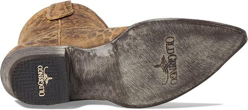 أولد جرينجو نيوبورت تان ليوبارد 5.5 بي (م) in Kuwait