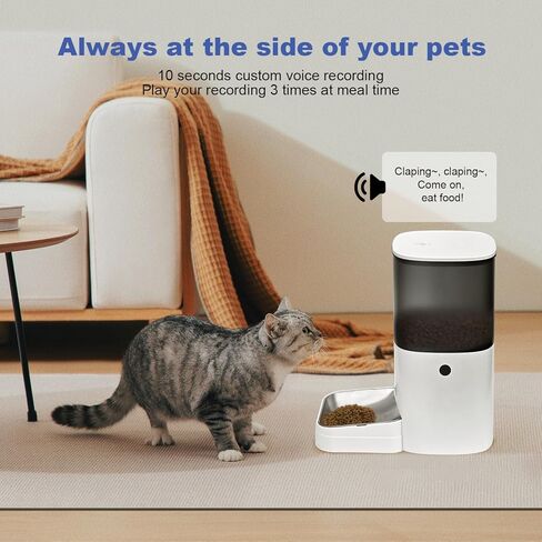 Automatic Cat Feeder, 4L Cat Food Dispenser with Timer Interactive Voice Recorder, Auto Cat Feeder with Desiccant Bag 1-8 Meals Dry Food, White Translucent in Kuwait