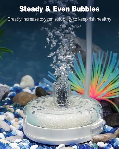 Pawfly Mini Aquarium Sponge Filter, Small Fish Tank Internal Filter with Foam and Air Stone Submersible Bio Sponge Filter for Fish Tanks up to 5 Gallon (Air Pump Not Included) in Saudi Arabia
