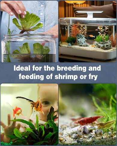 Pawfly Mini Aquarium Sponge Filter, Small Fish Tank Internal Filter with Foam and Air Stone Submersible Bio Sponge Filter for Fish Tanks up to 5 Gallon (Air Pump Not Included) in Saudi Arabia