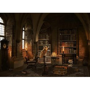 Halloween Backdrop for Photography Wizard Magic School Bookshelf Bookcase Candle Owl Ancient Library Background for Party Decoration Banner Supplies Photo Studio Booth Props 7X5FT CEM214B