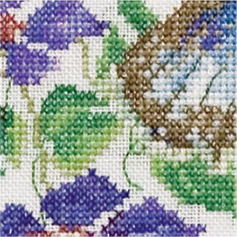 Thea Gouverneur - Counted Cross Stitch Kit - Butterfly-Nasturtium - Aida - 18 Count - Embroidery Kit for Adults - DMC Embroidery Threads and Other Cross Stitch Supplies Included - 437A in Kuwait