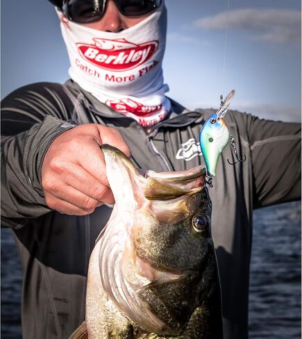 Berkley Flicker Shad Shallow Fishing Lure, Blue Smelt, 2/7 oz, 2 3/4in | 7cm Crankbaits, Size, Profile and Dive Depth Imitates Real Shad, Equipped with Fusion19 Hook in Saudi Arabia
