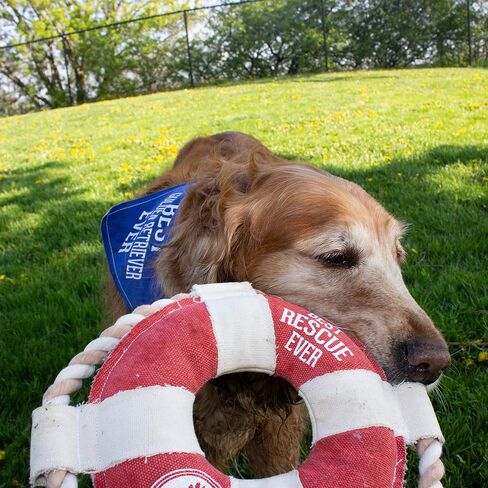 Pavilion Gift Company 67629 Pavilion-Best Ever-14 Inch Large Tug of War Rope Sturdy & Durable Canvas Dog Toy, Grey in Kuwait