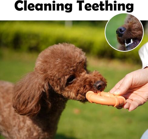 Dog Chew Toys for Aggressive Chewers Dog Chew Toys for Small Dogs Natural Rubber Puppy Teething Toys 2 pcs in Saudi Arabia