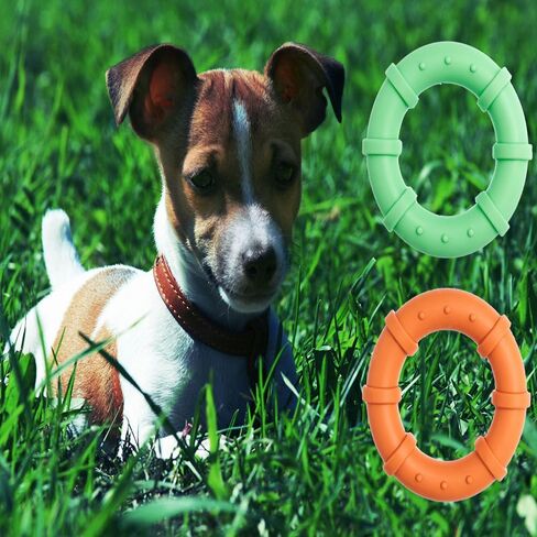 Dog Chew Toys for Aggressive Chewers Dog Chew Toys for Small Dogs Natural Rubber Puppy Teething Toys 2 pcs in Saudi Arabia