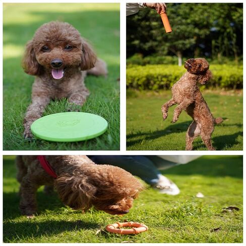 Dog Chew Toys for Aggressive Chewers Dog Chew Toys for Small Dogs Natural Rubber Puppy Teething Toys 2 pcs in Saudi Arabia
