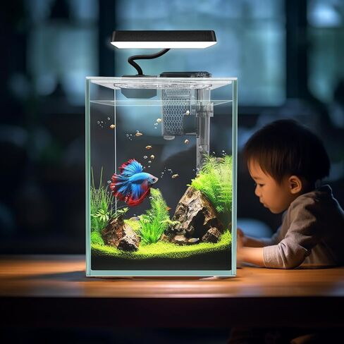 iPriro Glass Betta Aquarium Starter Kits 1.5 Gallon Small Fish Tank, Betta Fish Tank with LED Light, Power Filter, Black. 4mm Glass in Saudi Arabia