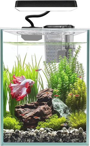 iPriro Glass Betta Aquarium Starter Kits 1.5 Gallon Small Fish Tank, Betta Fish Tank with LED Light, Power Filter, Black. 4mm Glass in Saudi Arabia