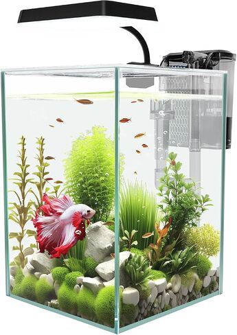 iPriro Glass Betta Aquarium Starter Kits 1.5 Gallon Small Fish Tank, Betta Fish Tank with LED Light, Power Filter, Black. 4mm Glass in Saudi Arabia