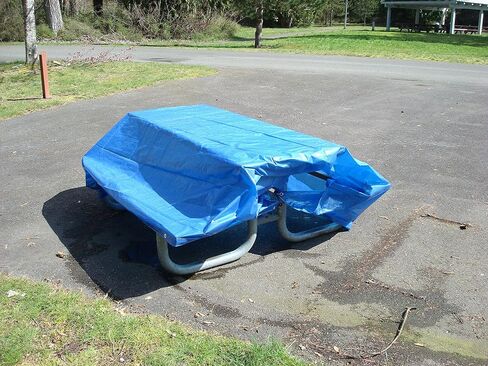 Dry Top 11624 Medium Duty Tarp, 16x24 Feet, Brown/Green in Saudi Arabia