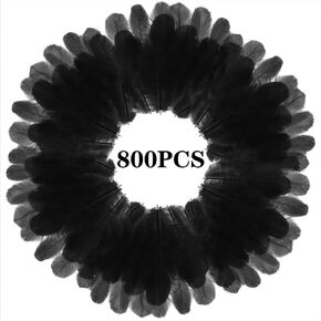 800Pcs Black Rooster Feathers 3-5-inch Bulk Feathers for Crafting Kindergarten DIY Crafts, Wedding, Family Party Decorations, Dream Catcher Supplies, Natural Feathers