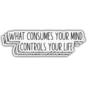 (3pcs) What Consumes Your Mind Controls Your Life Sticker Funny Sarcastic Motivational Inspirational Decal Stickers for Water Bottle Tumbler Kindle Laptop Phone Hard Hat Vinyl Decal - 3x0.9
