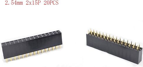 2.54mm 2 x 20Pin Female Socket Pin Header 20P Straight Dual Row Header Kit PCB Female Header Pin Header Connector, Pack of 30 in Saudi Arabia