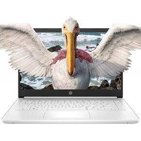 HP 14" Chromebook, HD Business Laptop, Intel Celeron N4120, 16GB RAM, 256 Storage(128GB eMMC with 5ave128GB Micro SD Card), HDMI, Wi-Fi, Chrome Os, Silver