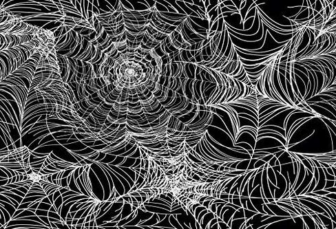 8x5ft White Spider Web Photography Backdrop for Halloween Party Banner Decor Background Kids Adults Portraits Photo Shoot Studio Props in Saudi Arabia