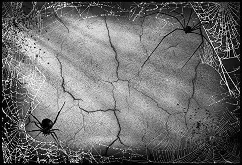 8x5ft White Spider Web Photography Backdrop for Halloween Party Banner Decor Background Kids Adults Portraits Photo Shoot Studio Props in Saudi Arabia