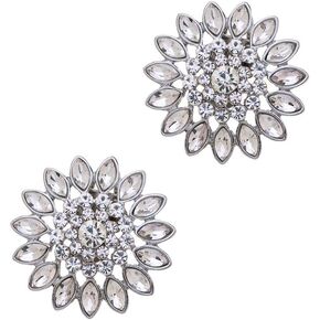 Ruihfas 2Pcs Fashion Decorative Round Rhinestones Flowers Crystal Wedding Party Prom Shoe Clips Accessories