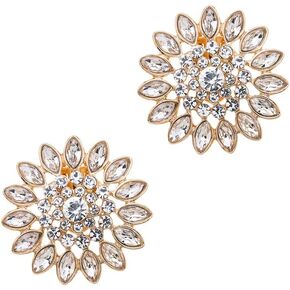 Ruihfas 2Pcs Fashion Decorative Round Rhinestones Flowers Crystal Wedding Party Prom Shoe Clips Accessories