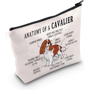 G2TUP Cavalier King Charles Spaniel Lover Gift Anatomy Of A Cavalier Makeup Bag Cavalier King Charles Spaniel Owner Cosmetics Bag Zipper Travel Bag (Anatomy Of A Cavalier White Bag)