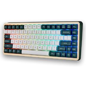 Keycaps Cherry Blossom Height for 61/64/68/84/87/104/108 Cherry Mx Switch ISO ANSI Layout Mechanical Keyboard(Green+White)