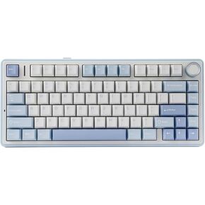 EPOMAKER x Aula F75 Gasket Mechanical Keyboard, 75% Wireless Hot Swappable Gaming Keyboard with Five-Layer Padding&Knob, Bluetooth/2.4GHz/USB-C, RGB (Green, LEOBOG Reaper Switch)