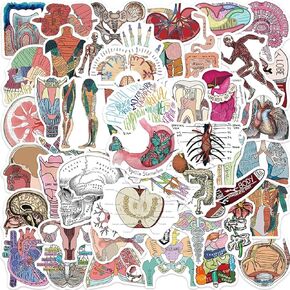 Biology Human Body Organ Stickers, 50Pcs Human Anatomy and Physiology Study Tools of Body Organs, Muscles, Soft Tissues, Medical Gifts Stickers for Water Bottle Laptop Luggage, Pink