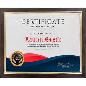 حامل إطار شهادة مقاس 8.5 × 11، شاشة عرض لوحة حائطية منزلقة، إطار مقاس 10-1/3 × 13 بوصة، خشب الجوز مع حدود ذهبية