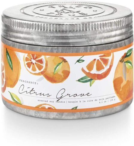 Tried & True Large Tin, Citrus Grove in Saudi Arabia