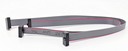 2-Pack 20cm 7.8 Inches 1.27mm 10P 2x5 F/F Mini Female to Female IDC Connector on 0.635mm Pitch 10 Conductors 20 cm Flat Ribbon Cable in Saudi Arabia