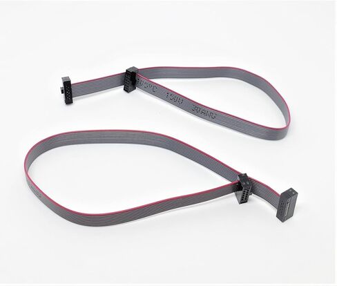 2-Pack 20cm 7.8 Inches 1.27mm 10P 2x5 F/F Mini Female to Female IDC Connector on 0.635mm Pitch 10 Conductors 20 cm Flat Ribbon Cable in Saudi Arabia