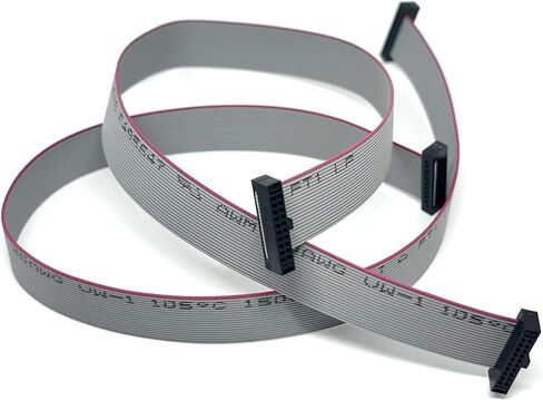 2-Pack 20cm 7.8 Inches 1.27mm 10P 2x5 F/F Mini Female to Female IDC Connector on 0.635mm Pitch 10 Conductors 20 cm Flat Ribbon Cable in Saudi Arabia