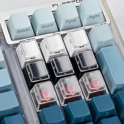 Instantly Custom Double-Layer Keycaps with Transparent Cover Cap for DIY Removable Stickers or Scraps of Paper Compatible with Cherry MX Switches (12Pcs-Black Botton) in Saudi Arabia