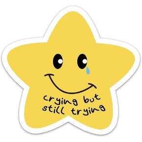 (3PCs) Crying But Still Trying Motivation Sticker, Inspirational Star Stickers for Adults Teen Kids, Positive Waterproof Vinyl Stickers for Water Bottle Laptop Phone Case Kindle Scrapbook (3 Inches)