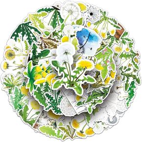 Dandelions Stickers for Laptop (50 PCS),Gift for Children Teens Adults Girl Boys,Waterproof Stickers for Water Bottle,Flower Vinyl Stickers for Scrapbook,Skateboard,Bike,Phone,Dairy