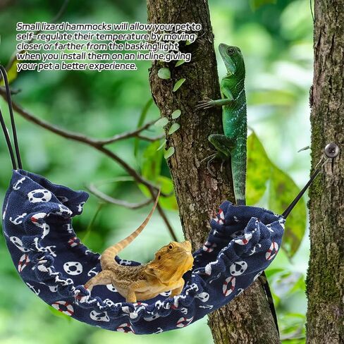PINVNBY 2 جهاز كمبيوتر شخصى أرجوحة أبو بريص متوج، أرجوحة التنين الملتحية أرجوحة سحلية مع 2 أكواب شفط قوية السنانير لينة أرجوحة معلقة سرير الزواحف خزان الملحقات السحالي تسلق اللعب للزواحف أبو بريص شام in Saudi Arabia