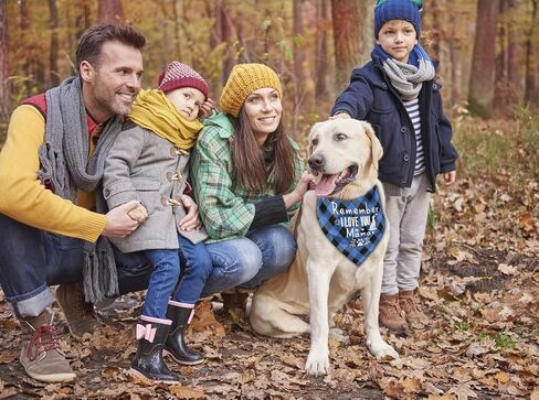 Dog Bandana, Dog Bandana, Dog Scarf Classical Plaid Printing, Dog Scarf Accessories, Dog Bandana Pet Scarf, Christmas Birthday Dog Mom's Gift, Remember I Love You Mama (N40) in Saudi Arabia