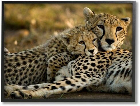 Stupell Industries Home Decor Collection Cheetah Family Mother with Cub Framed Giclee Texturized Art, Multi-Colored, 24 x 30 in Saudi Arabia
