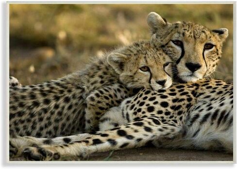 Stupell Industries Home Decor Collection Cheetah Family Mother with Cub Framed Giclee Texturized Art, Multi-Colored, 24 x 30 in Saudi Arabia