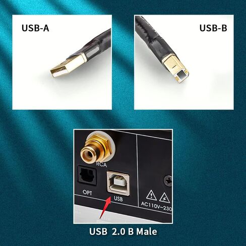 Tertullus HiFi USB 2.0 كابل USB A إلى USB B كابل صوت رقمي كابل صوتي (1 متر/3.28 قدم) in Saudi Arabia