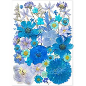 301Pcs Dried Pressed Flowers Leaves & Butterfly Stickers for Crafts,TrendCart Real Natural Dry Pressed Flowers for Resin Molds Nails Art Candle Making Phone Cases DIY Art Crafts Jewelry Making