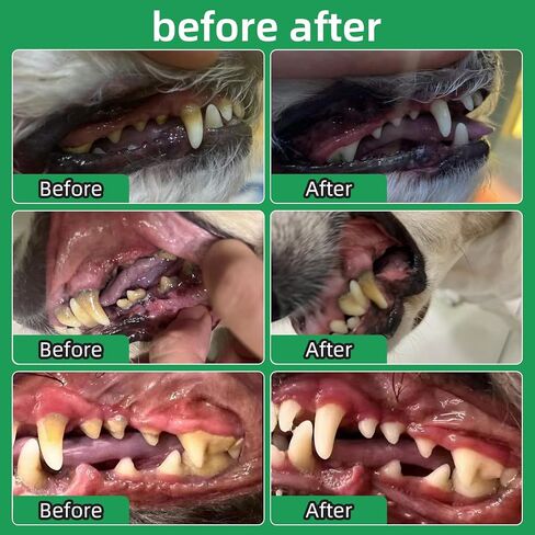 Orlpevet Teeth Clean Powder for Dogs, Dog Breath Freshener, Tartar,Plaque Remover, Dental Care Powder for Small,Medium,Large Dogs, Organic pet supplies-75g in Saudi Arabia