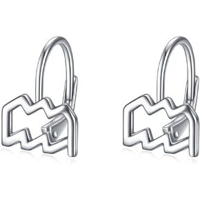 WINNICACA 925 Sterling Silver Horoscope Zodiac 12 Constellation Astrology Leverback Dangle Earrings for Women Girls
