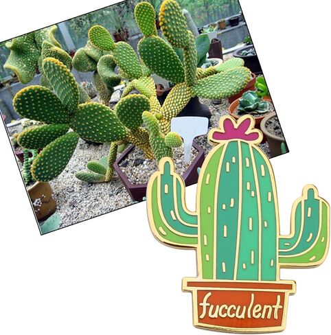 Fucculent Enamel Pin Cactus Succulent Jewelry Cactus Enamel Pin Succulent Brooch Cactus Lover Gift in Saudi Arabia