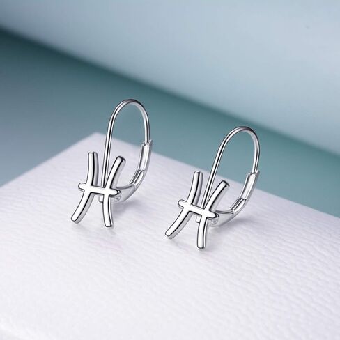 WINNICACA 925 Sterling Silver Horoscope Zodiac 12 Constellation Astrology Leverback Dangle Earrings for Women Girls in Saudi Arabia