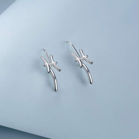 WINNICACA 925 Sterling Silver Horoscope Zodiac 12 Constellation Astrology Leverback Dangle Earrings for Women Girls in Saudi Arabia