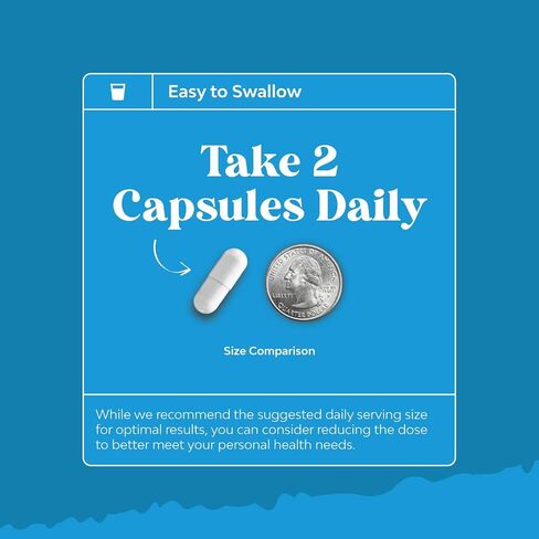 NAC Supplement N-Acetyl Cysteine 600mg - Potent Vegan High Absorption NAC 600 mg Capsules Glutathione Precursor for Liver Cleanse Detox & Repair plus Lung Health and Immunity Support (3 Months) in Saudi Arabia